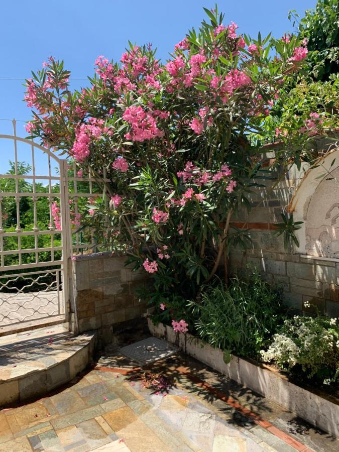 סלוניקי Gemuetliches Appartement In Ano Poli מראה חיצוני תמונה
